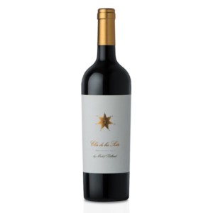 CLOS DE LOS SIETE - CLA - EL CLA 2013 - BLEND